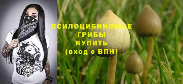 хмурый Вязьма